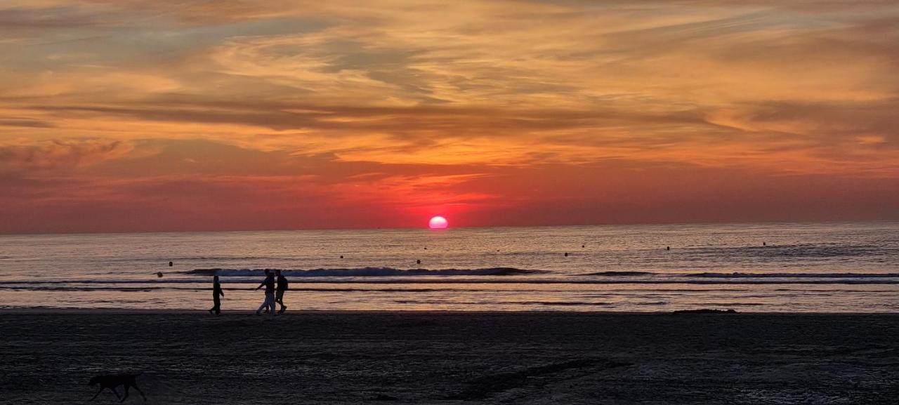 Superbe Studio Avec Une Magnifique Vue Sur La Mer. De Panne Exterior photo